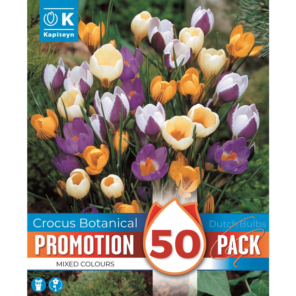 Promo Crocus Species Mixed