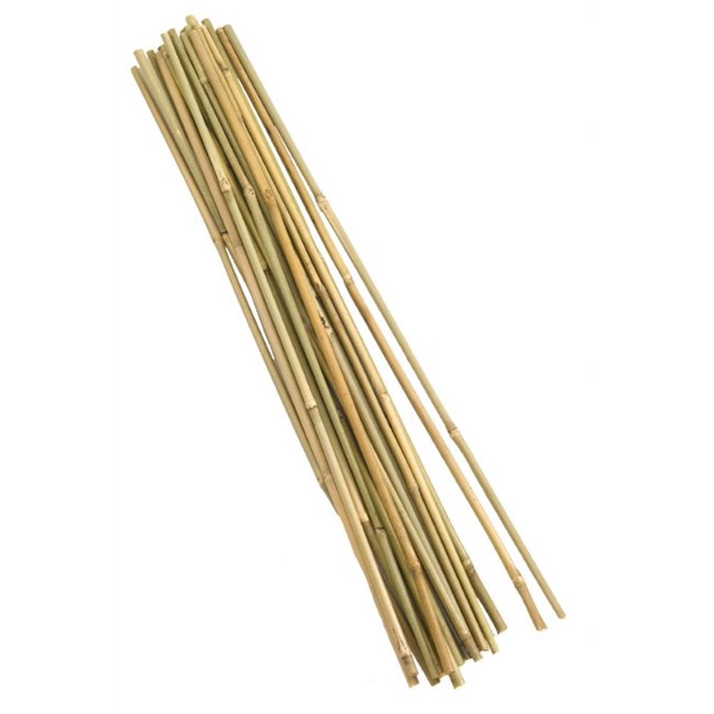 Bamboo Canes 60Cm Bundle Of 20