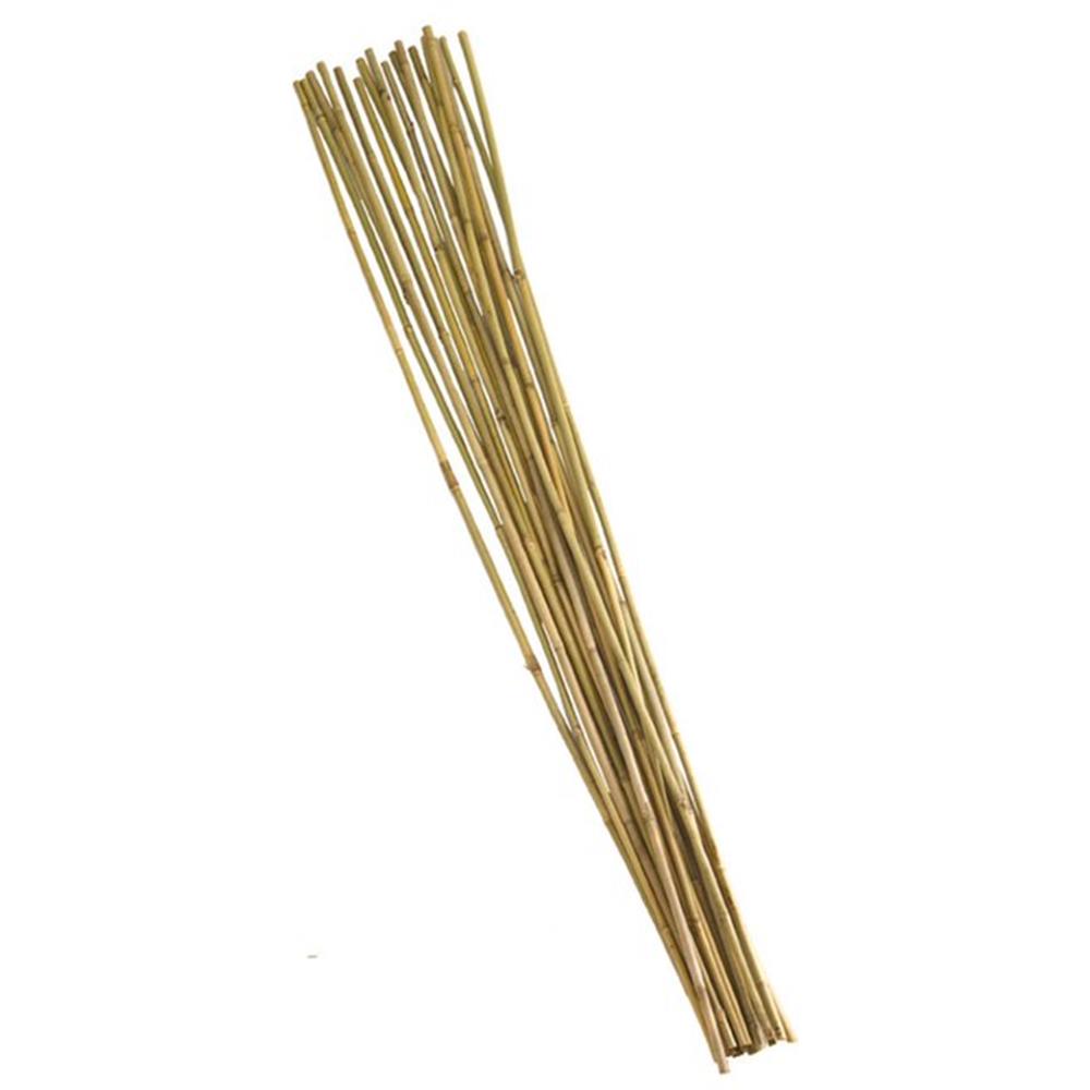 BAMBOO CANES - EXTRA THICK 2.4m PACK OF TEN