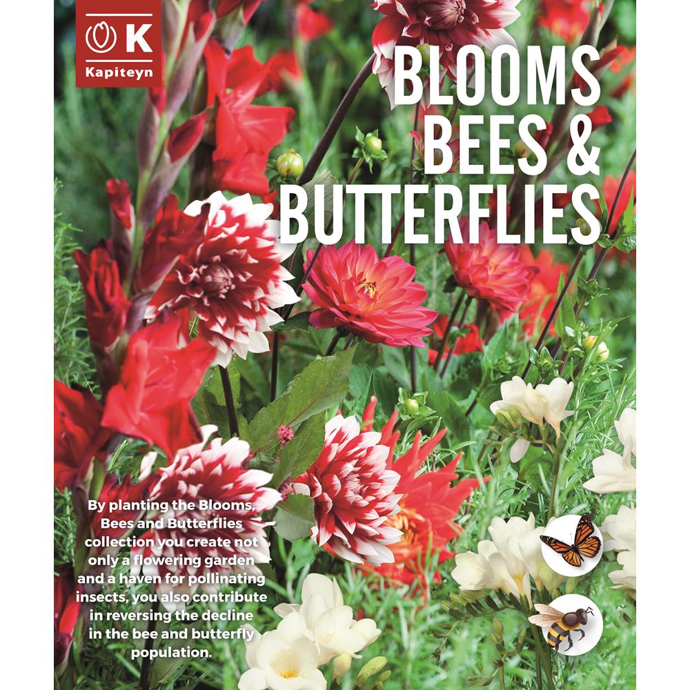 Blooms, Bees & Butterflies Red- White