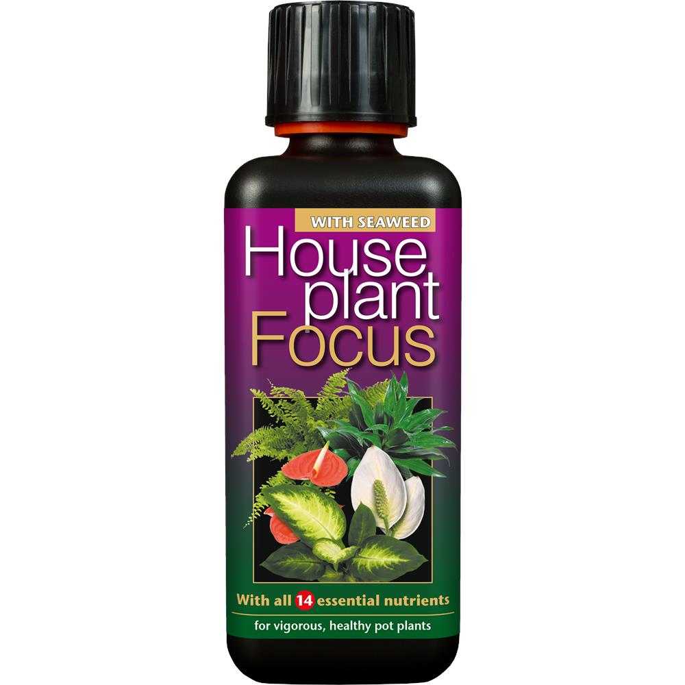Houseplant Focus     300 ml