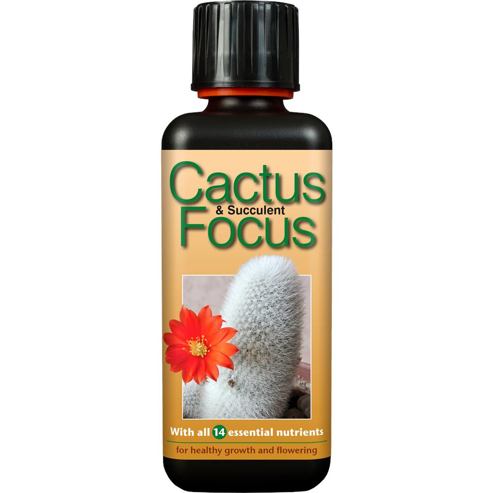 Cactus & Succulent Focus     300 ml