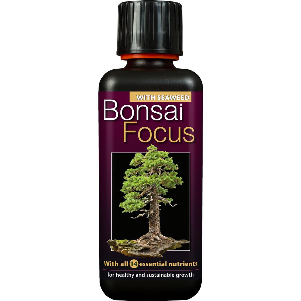 Bonsai Focus     300 ml