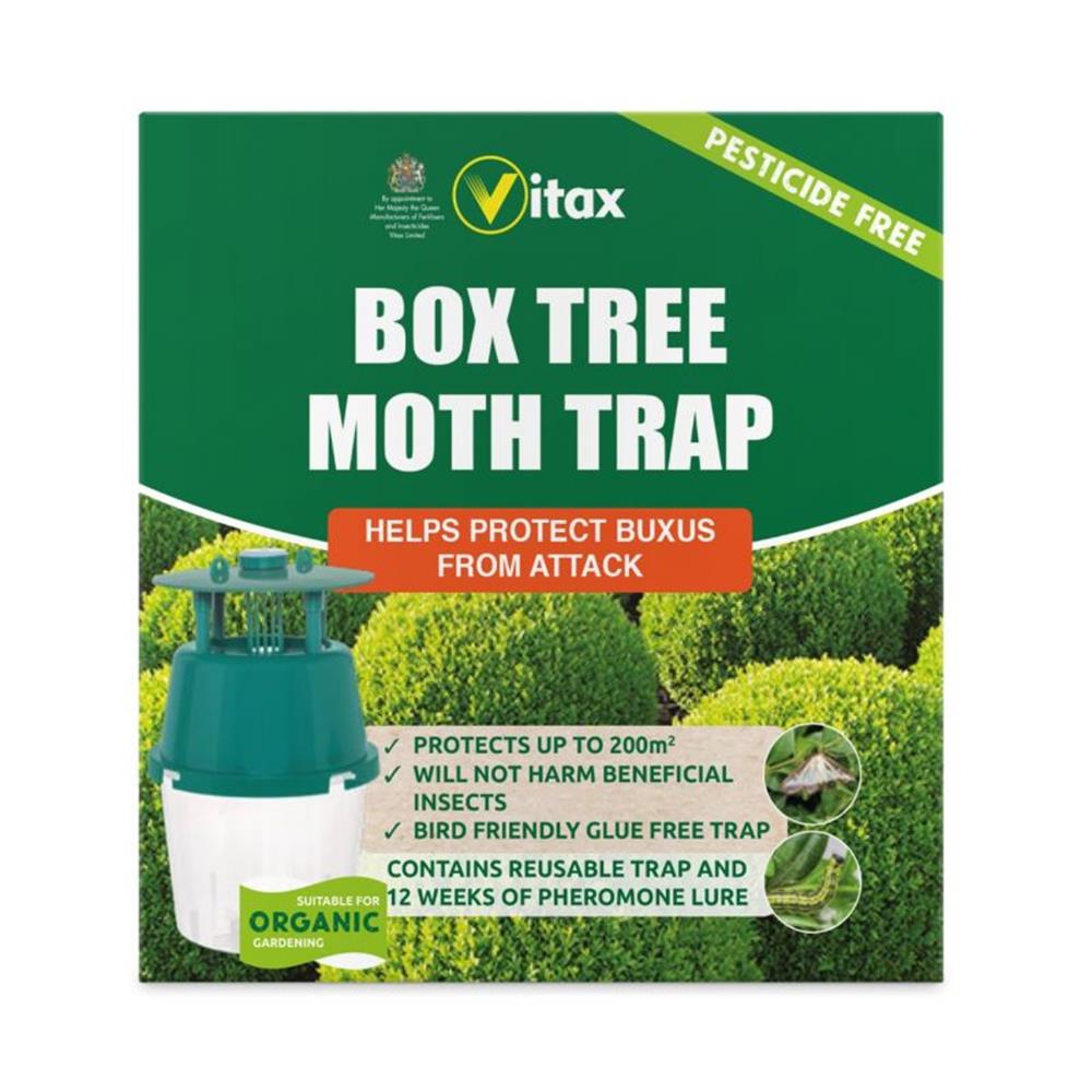 Box Tree Moth Trap 1 Trap