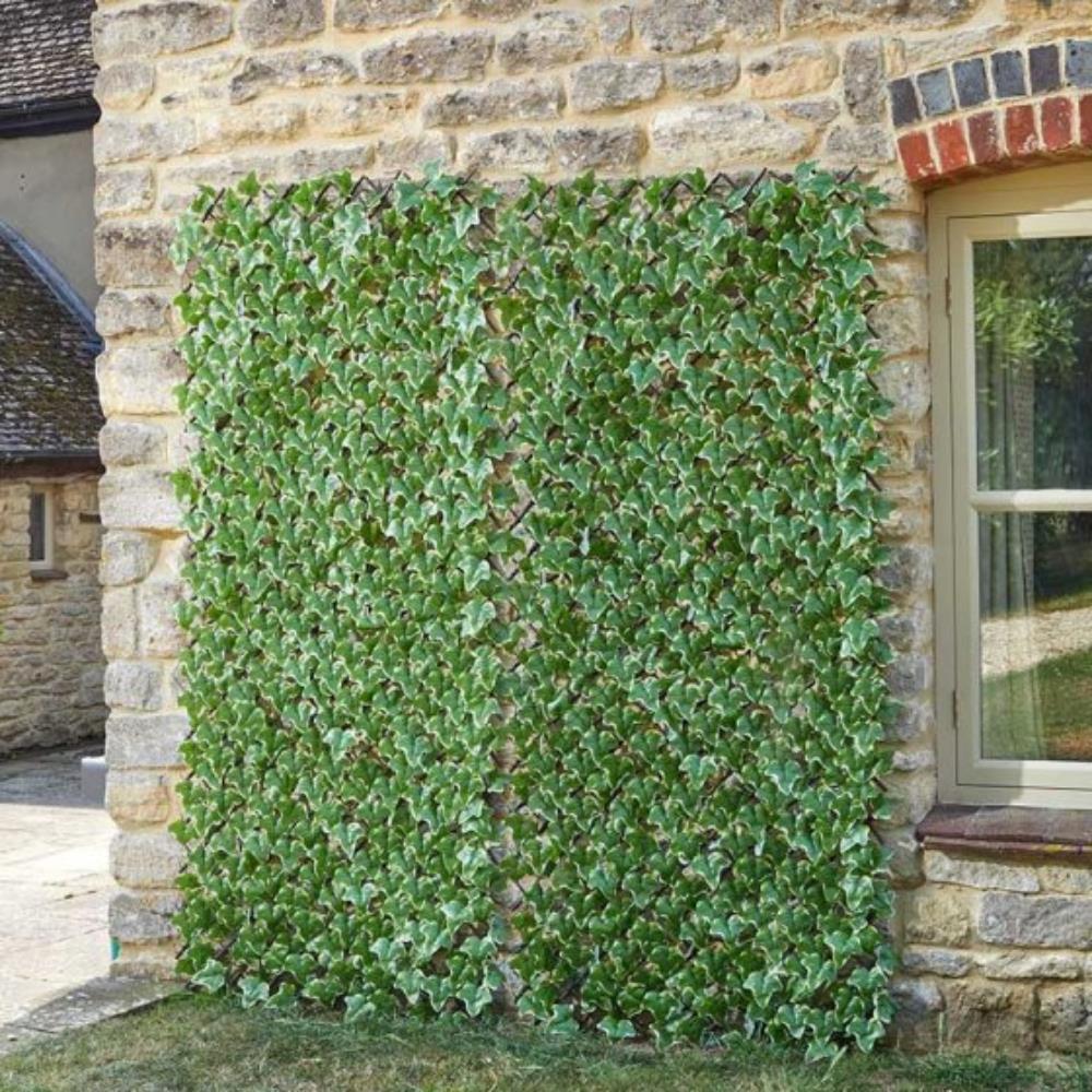 Ivy Leaf Trellis 180 X 60 cm