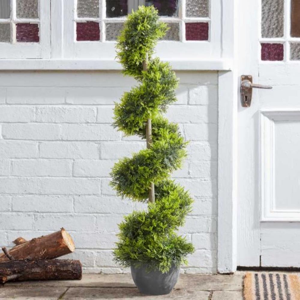 Cypress Topiary Twirl 120 Cm