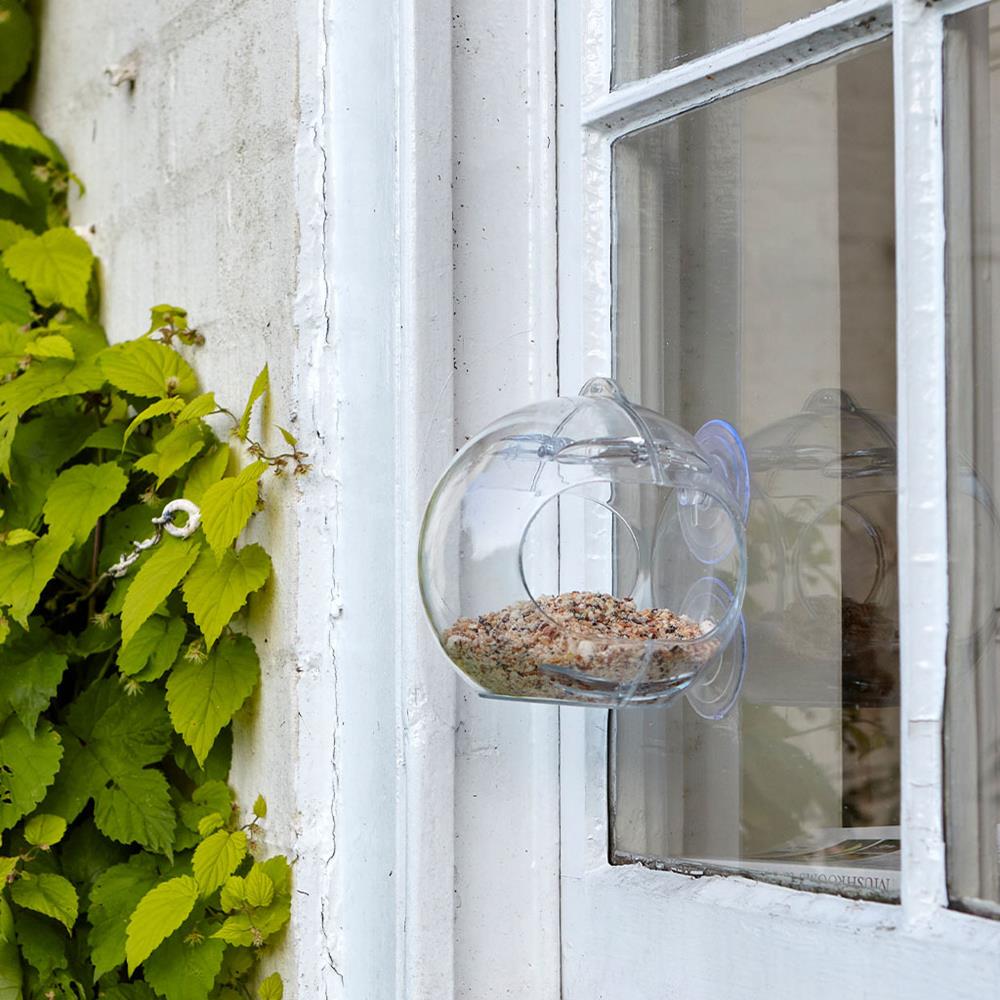 Globe Window Feeder - Bird Feeders - Polhill Garden Centre