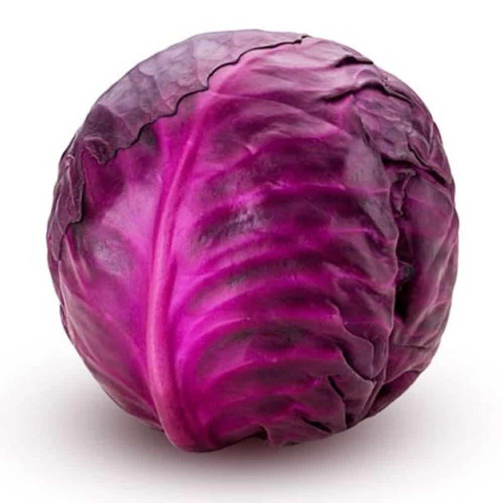 Cabbage Red Roderick F1 Veg Strip