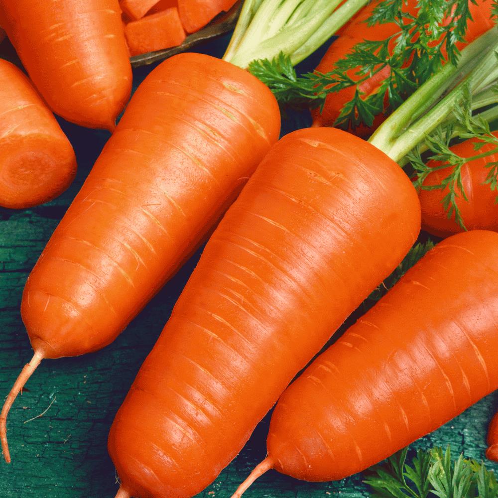 Carrot Chantenay Red Cored Veg Strip