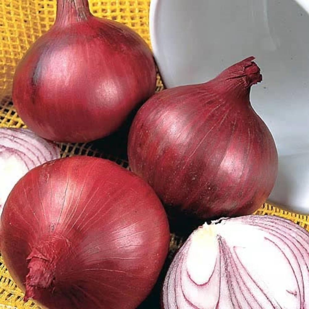Onion Red Baron Veg Strip