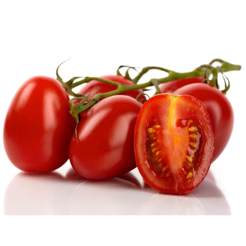 Tomato Roma  8.5cm Pot