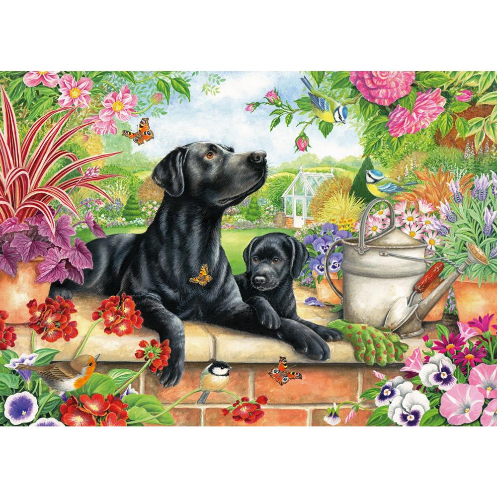 Jigsaw 1000 Piece Rectangular - Black Labrador & Pup (L)