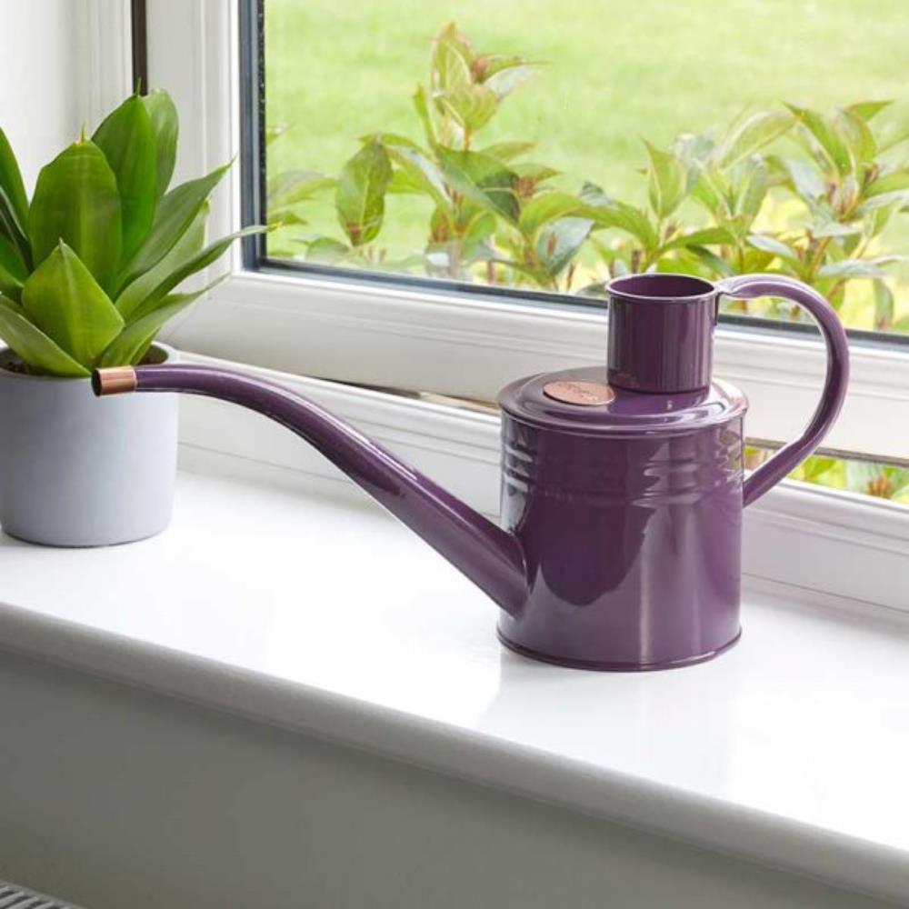 Home & Balcony Watering Can   Violet 1L
