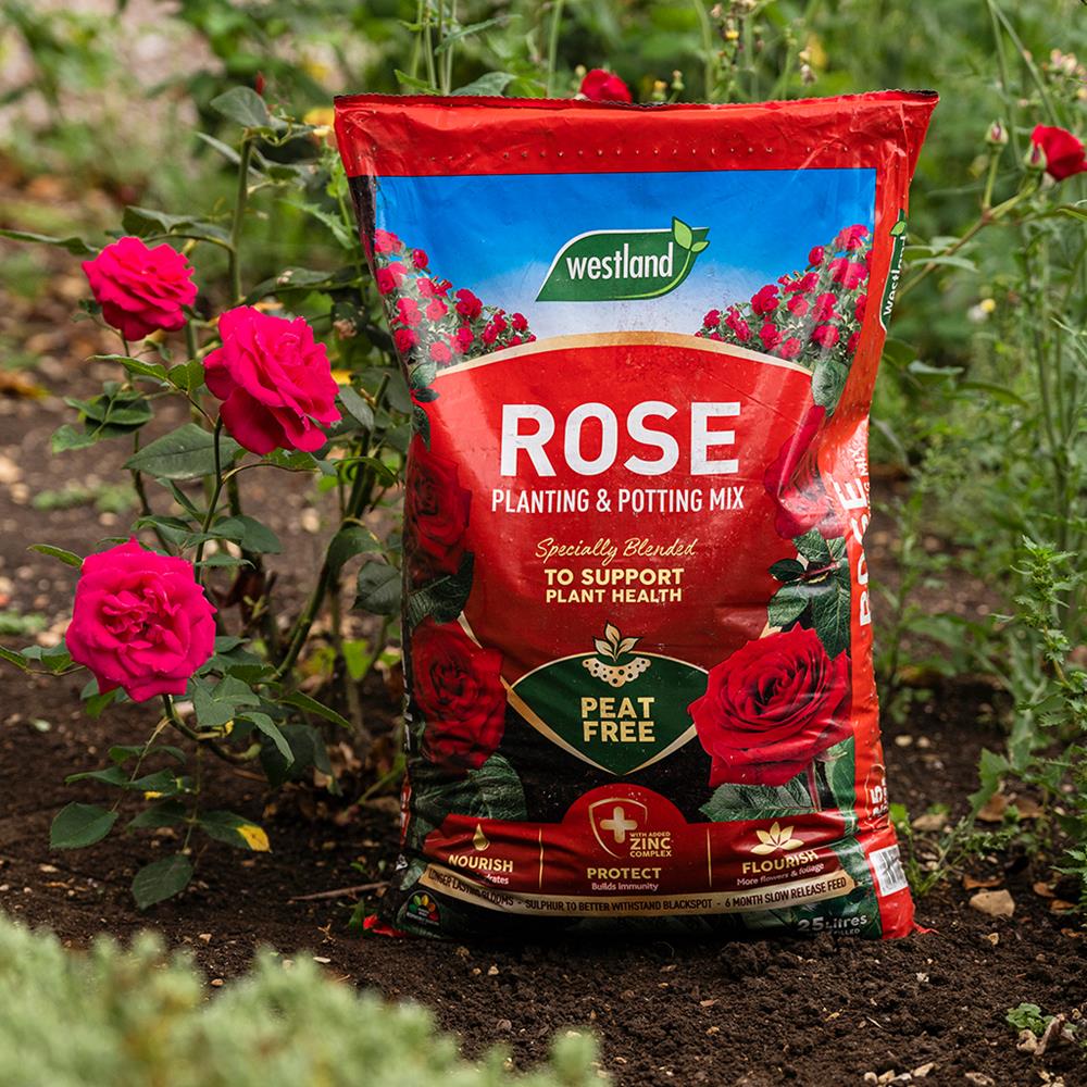 Rose Planting & Potting Peat Free Mix Bag 25L