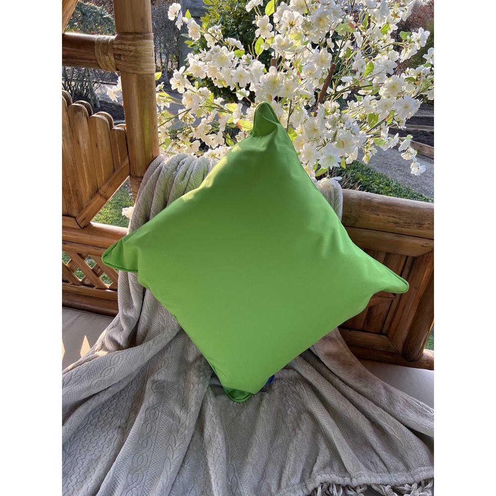 Lime Cushion