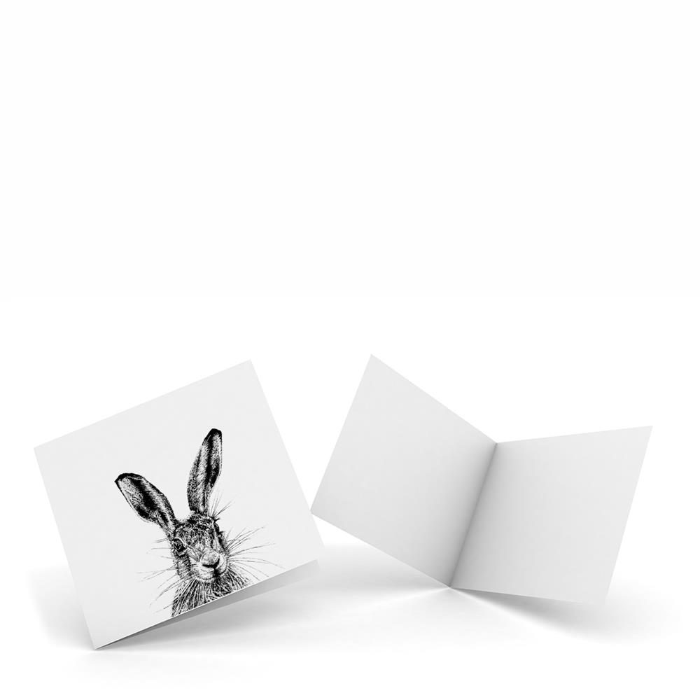 Pack Of 4 X Notecards Sassy Hare