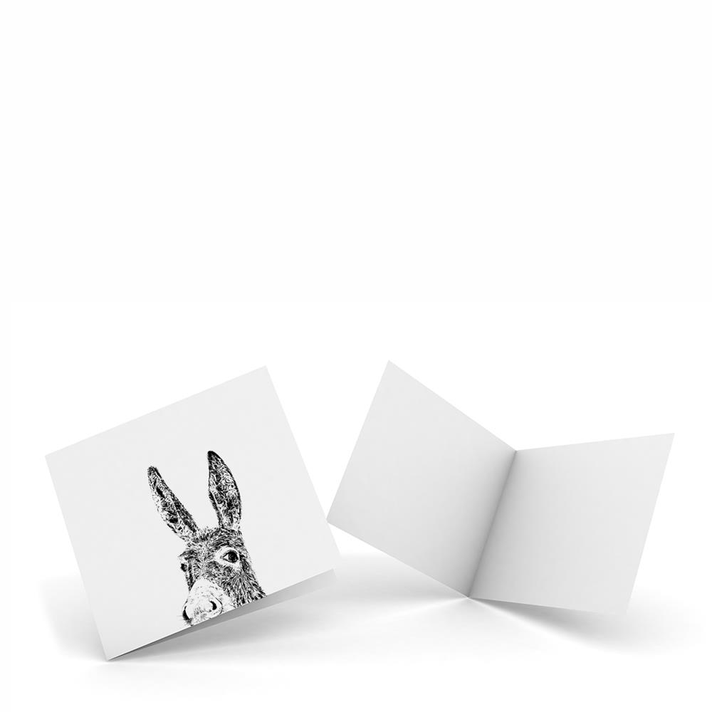 Pack Of 4 X Notecards Donkey