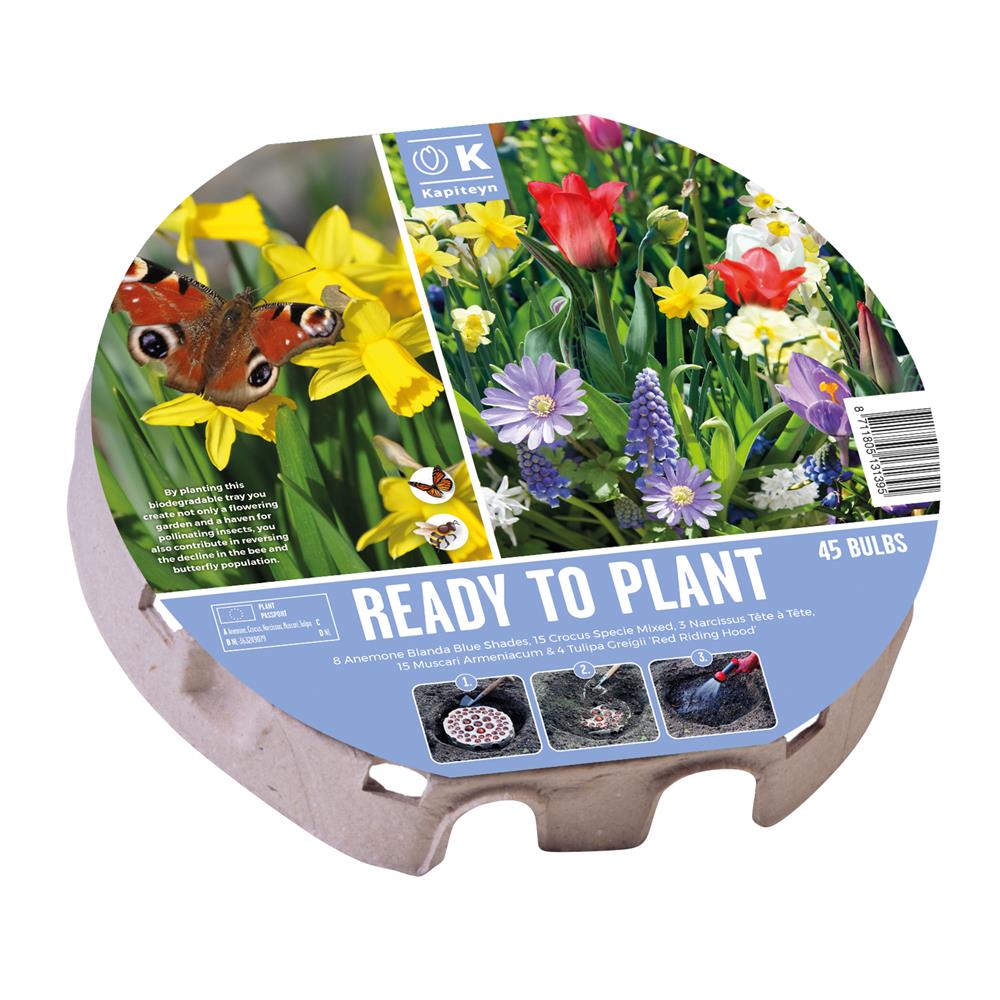 Ready to Plant Tray Wild Blooms (38 cm)