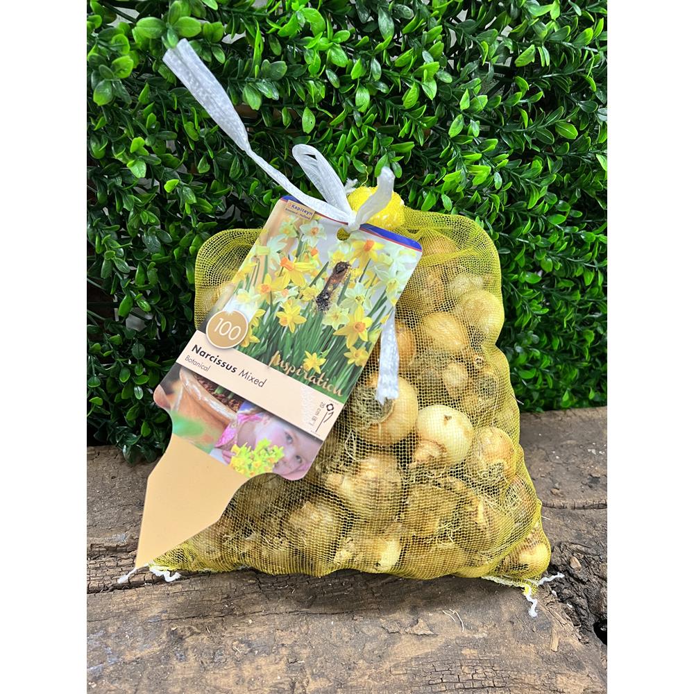 Landscape Bag Narcissus Botanical Mixed 