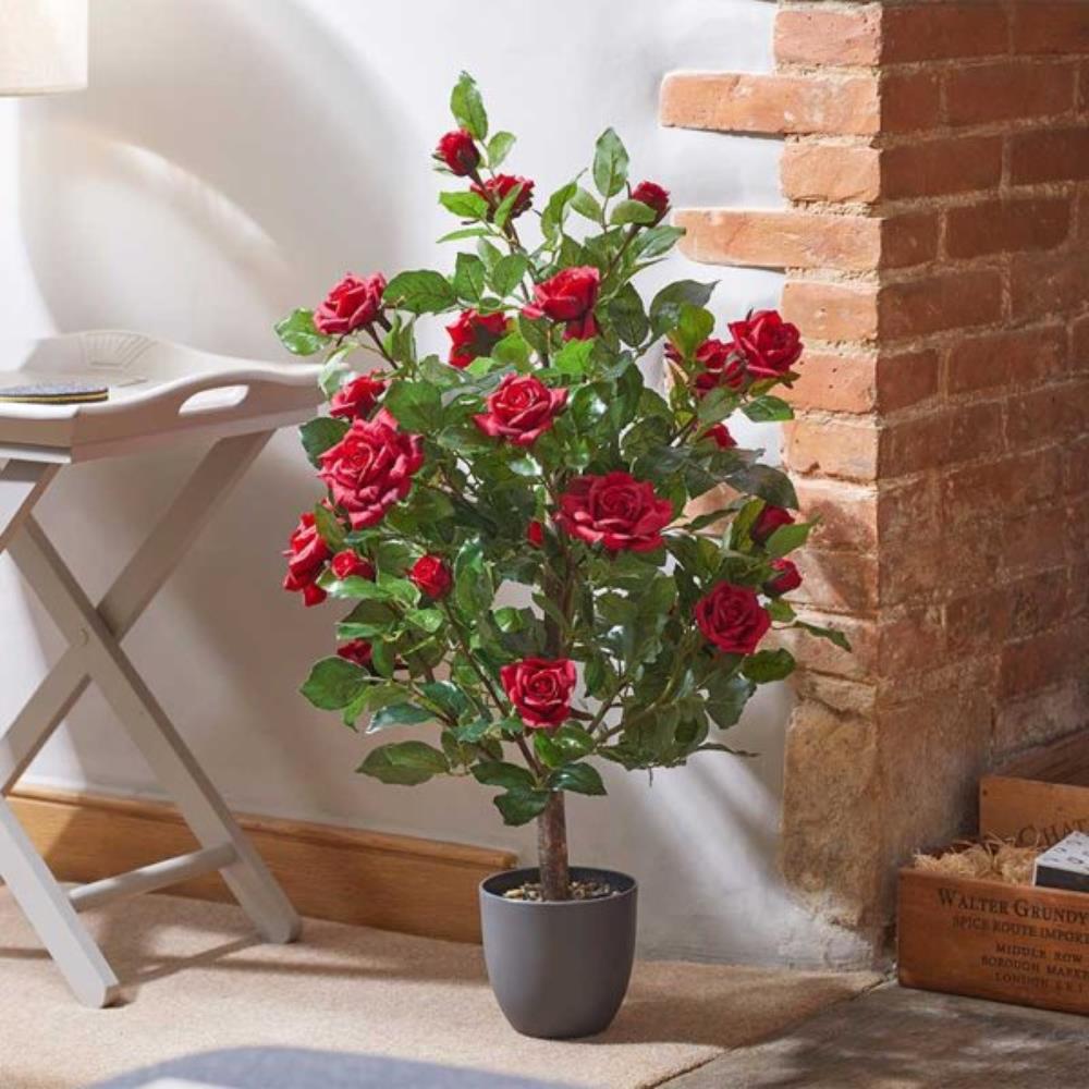 Regent'S Roses - Ruby Red 80cm