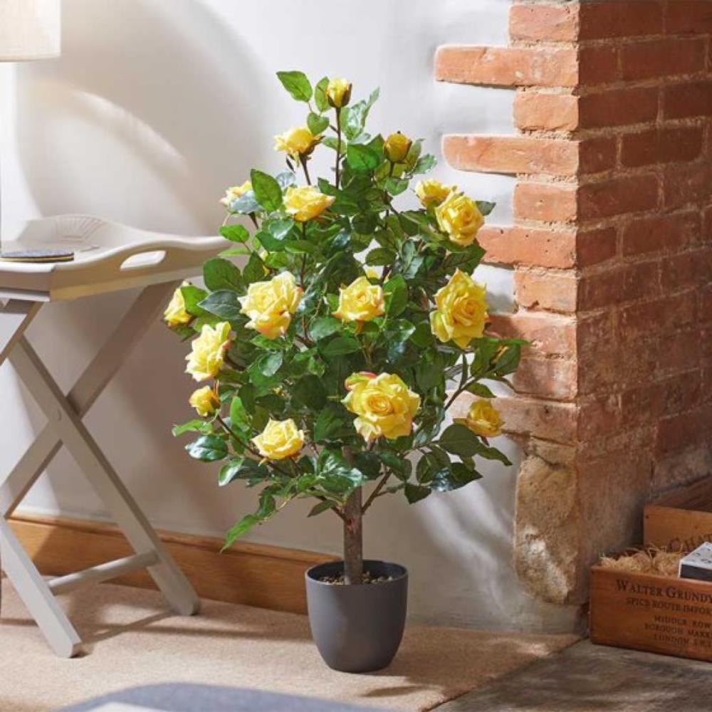 Regent'S Roses - Sunshine Yellow 80cm