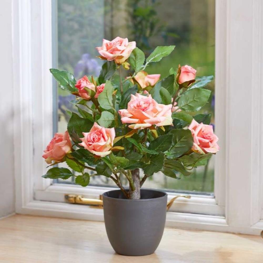 Regent'S Roses - Perfect Pink 40cm