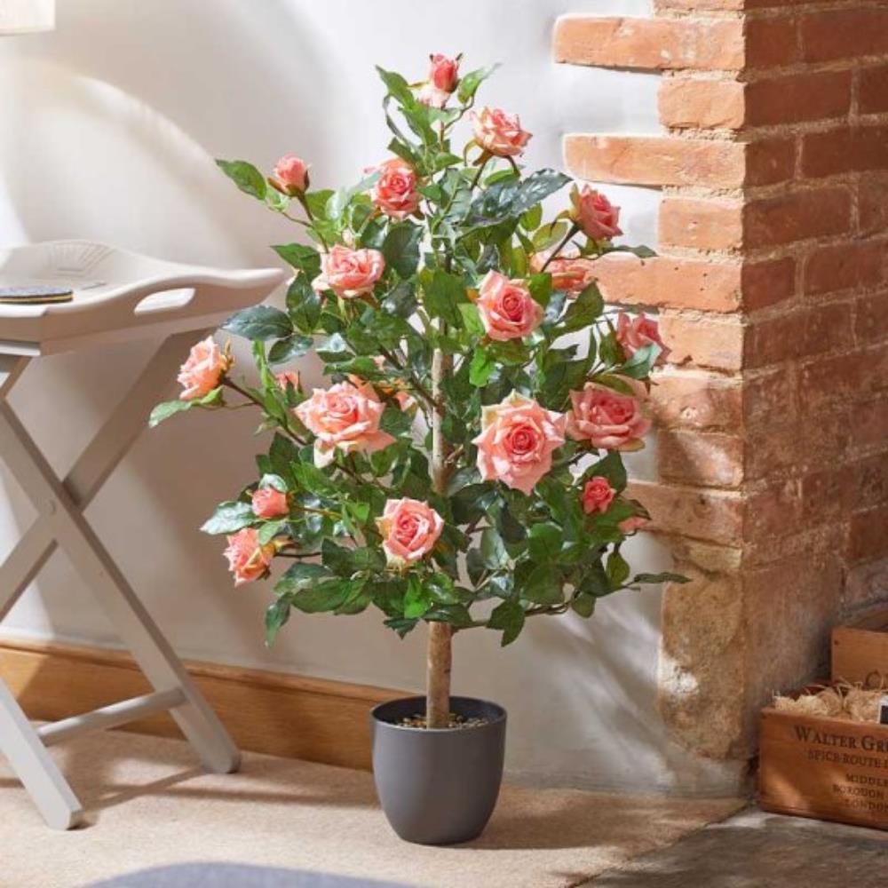 Regent'S Roses - Perfect Pink 80cm