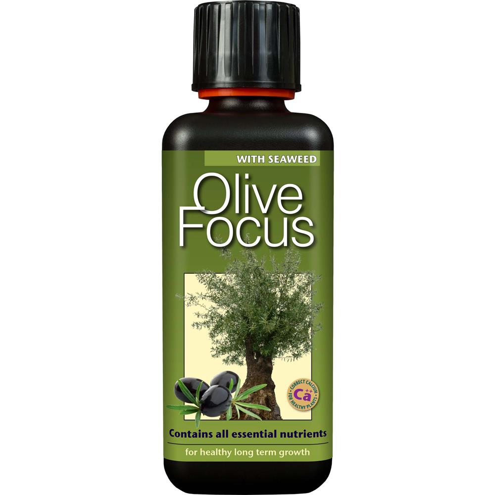 Olive Focus     300 ml