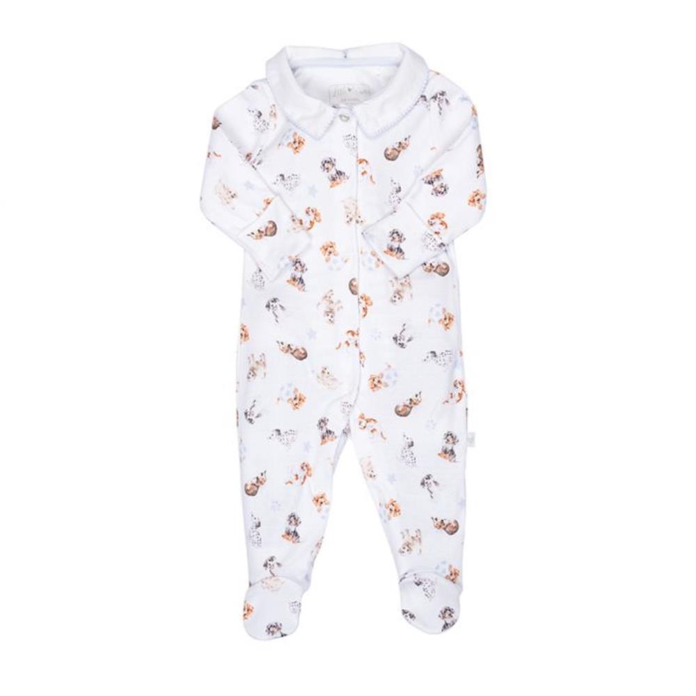 Little Paws Printed Babygrow 0-3 Months